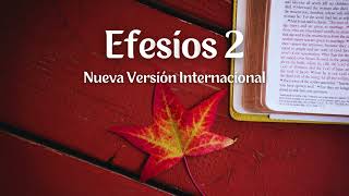 Efesios 2  Nueva Versión Internacional  Biblia en audio [upl. by Donetta]