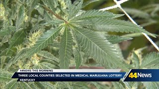 Three local businesses receive medical marijuana licenses in lottery pull Monday [upl. by Amadis]