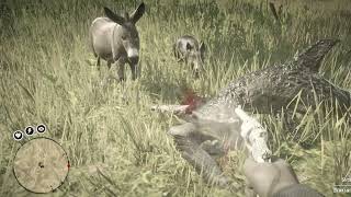 Randomly Killing Animals Red Dead Redemption 2 [upl. by Samid]