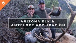 What You Need To Know  Arizona Elk amp Antelope Application [upl. by Inilahs641]