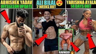 ABHISHEK YADAV😱 OFFSEASON UPDATE  ALI BILAL 😍2 WEEKS OUT  YARISHNA AYALA 14 DAYS OUT  MORE [upl. by Schilit]