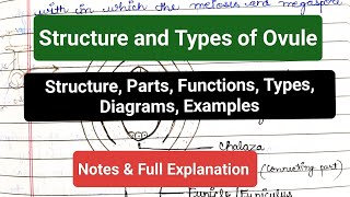 Structure and Types of Ovule  Parts  Functions  Diagrams  Types  Examples notes ovule yt [upl. by Cherice]