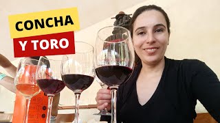 TOUR  DEGUSTAÇÃO PREMIUM NA MAIOR VINÍCOLA DE SANTIAGO DO CHILE CONCHA Y TORO [upl. by Angelita510]