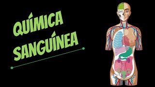 Química sanguínea interpretación clínica [upl. by Avril598]