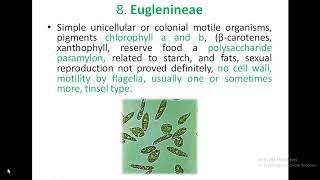 classification of algae by Fritsch [upl. by Laroc]