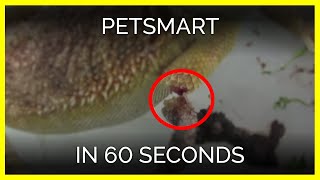 The Video PetSmart Doesnt Want You to See [upl. by Nicky431]