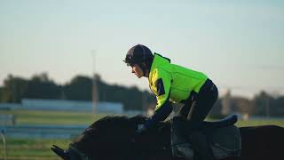 Pukekohe Park  Training Facility [upl. by Cott]