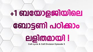 1 botany class Cell cycle amp Cell Division Episode 5 [upl. by Thinia795]