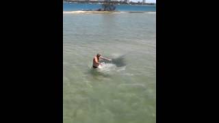 Stingray attack on Gold Coast in Australia [upl. by Gonzalez702]