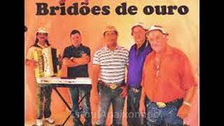 Poetas Toadeiros e Forrozeiros  Grupo Musical Bridões de Ouro [upl. by Costello197]