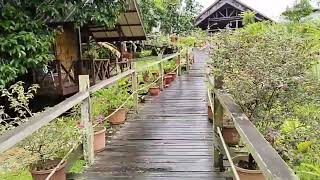 Borneo Sepilok Rainforest Resort Sandakan [upl. by Bohun]