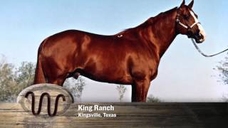 AQHA 75Year Breeder Salute [upl. by Nerrat]