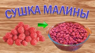 Как сушить ягоды малины Малиновая пастила [upl. by Pettit171]