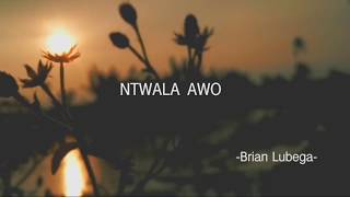 Brian Lubega  NUNGAMYA Official Lyric video [upl. by Ennad]