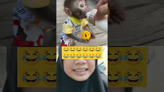 Aku Mimi dulu yah 😂 monkey picmonkey cute lucu stitch funny duetkocak kartun [upl. by Wehner]