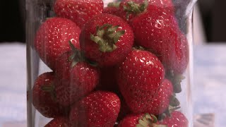 How to extract DNA from strawberries [upl. by Enella]