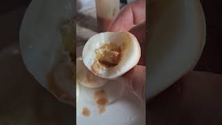 Boiled Eggs w Malagueta Hot Sauce [upl. by Knipe]