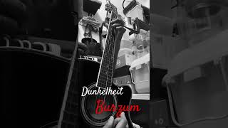 Dunkelheit  BURZUM  Acoustic cover [upl. by Eshman]