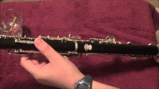 Beginning Oboe Basics Hand Placement [upl. by Haorbed]