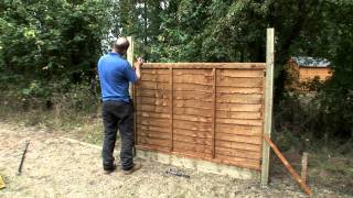 Buy Sheds Direct Easy Trellis Installation DIY Guide How to Fix Trellis onto a Fence Panel [upl. by Corty186]