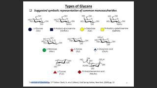 N amp O glycans and Sialic Acid Glycans [upl. by Doley]