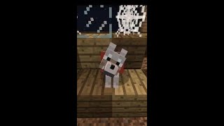 When You Leave Your Minecraft Dog [upl. by Garretson]