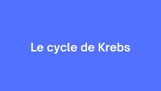 Tout savoir sur le cycle de Krebs [upl. by Anna-Diana]