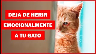 16 Cosas que EMOCIONALMENTE Hacen Daño a tu Gato [upl. by Fi]