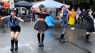 pacchi 日本一朝早く会えるアイドル 八戸館鼻岸壁朝市公認アイドル ハロウィン朝市ライブ リハーサル＋本番 私の1番かわいいところ 初披露 20231029 [upl. by Llevert725]