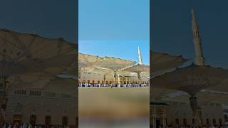 Labbaik ya Rasool Allah naat 💚🕋shorts islamicvideo [upl. by Colligan]