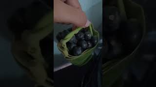 karonda fruit Maharashtra style 😋😋trending sorts kagaz ke do pankh leke 😊😊 [upl. by Groveman470]