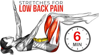 Best Back and Core Exercises For Lower Back Pain [upl. by Henryetta588]