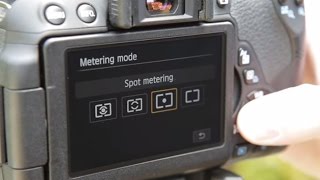 Understanding Metering Modes  How to Use Your Camera Part 5 [upl. by Naruq]