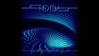 Tool  Fear Inoculum Instrumental [upl. by Erskine]