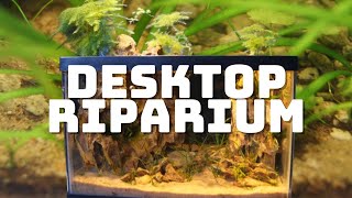 Desktop Riparium [upl. by Ulphi]