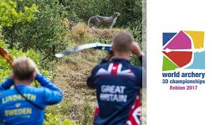 Full session Finals  Robion 2017 World Archery 3D Championships [upl. by Lorie866]