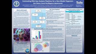 Contrasting RNASeq Analysis Pipelines for a  Polina Shpilker  iRNA  Poster  ISMBECCB 2021 [upl. by Oram350]