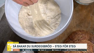 Baka det perfekta surdegsbrödet – steg för steg  Nyhetsmorgon TV4 [upl. by Htaras]