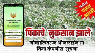 crop insurance app information in Marathi  crop loss intimation  insurance claim procedure 2023 [upl. by Kerred]