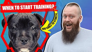 When Should I Start Training My STAFFORDSHIRE BULL TERRIER PUPPY [upl. by Annibo356]