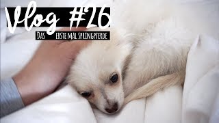 Das erste Mal Springpferde VLOG 26  PIA [upl. by Hollington]