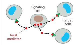 Introduction to Cell Signaling 3 Minutes Microlearning [upl. by Benzel]