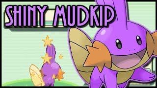 Shiny MUDKIP at Emerald EMULATOR [upl. by Wilfreda452]