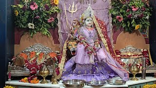 PART 2 Rupareliya Parivar Shapur II JAY BHAVANI MATAJI MANDIR II YAGNA 2024 [upl. by Yekcin638]