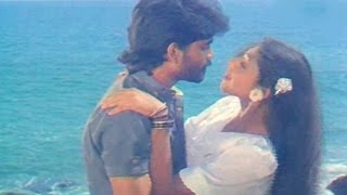 Vikram Movie Songs  Neevele Na Pranam  AkkineniNagarjuna Shobana Annapoorna [upl. by Salba]