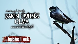 Sakın Ümitsiz Olma  Derdim Çok Diyenlere  Musab Balkanlıoğlu [upl. by Lieno]