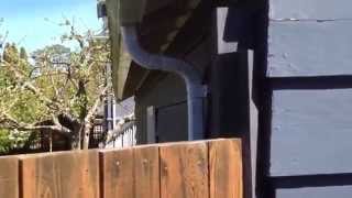 Angled Fence Panels Posts Gate use 4x4 Ripped 45 Diagonally Cant Strip [upl. by Toback]