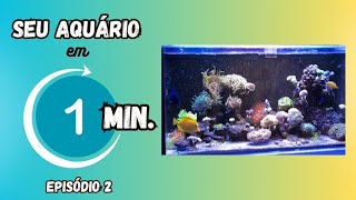 Seu aquário em 1 minuto Vamos conhecer este aquário marinho  Episódio 2 [upl. by Beryle]