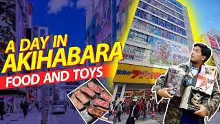 Akihabara Japan Guide ULTIMATE DAY TOUR [upl. by Aidnyc]