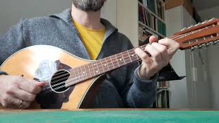 Schneeflöckchen Weißröckchen  Waldzither mit Tab und Noten [upl. by Irek]